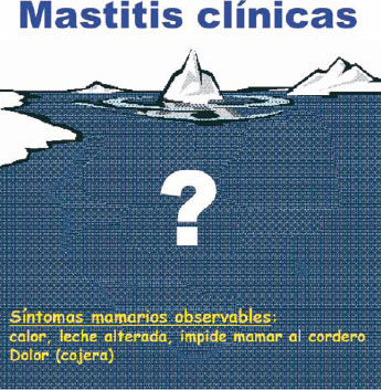 Mastitis clínicas